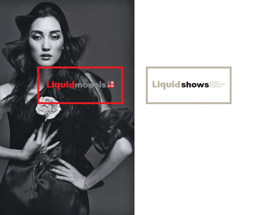 Models Liquid Logo