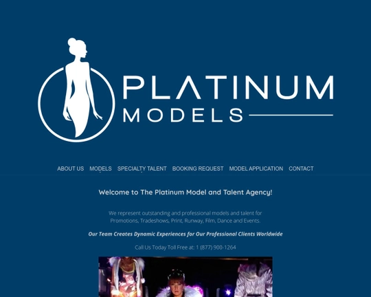 Platinum Models Logo