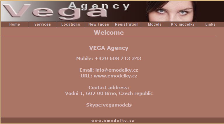 VEGA Agency Logo