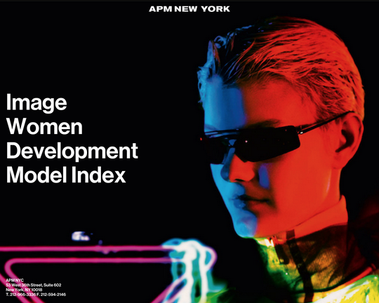 APM Models Logo