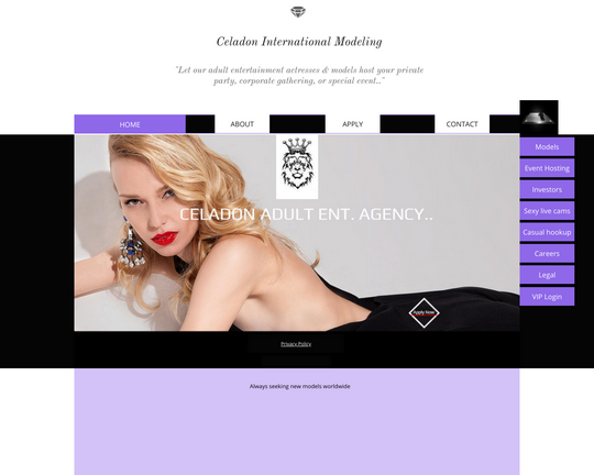 Agencija za modeling erotika i porno industriju
