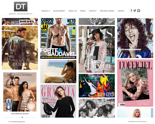 DT Model Management Logo