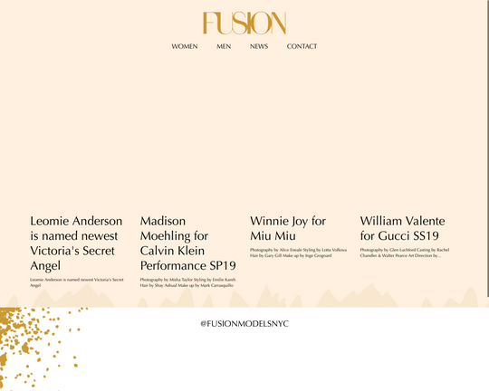 Fusion Models Logo