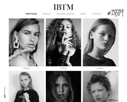 IBTM Models Logo