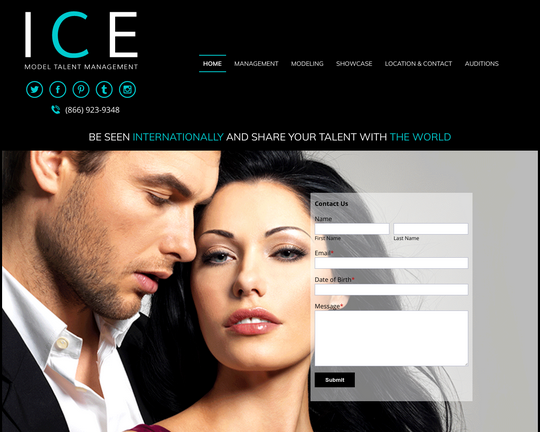 Ice Models Logo
