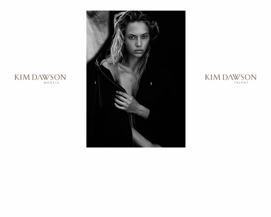 Kim Dawson Agency Logo