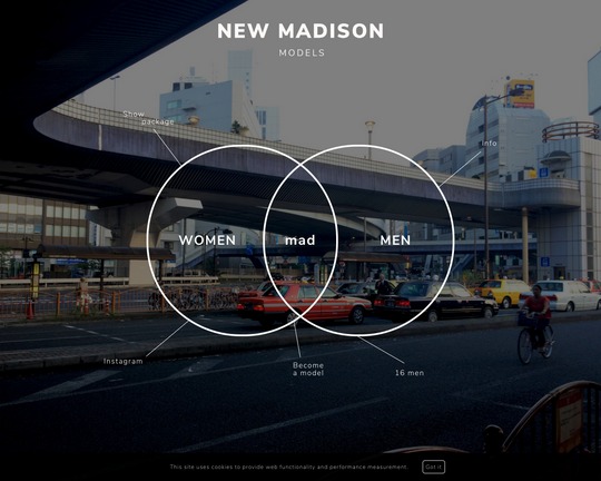New Madison Paris Logo