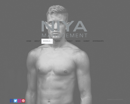 Niya Management Logo