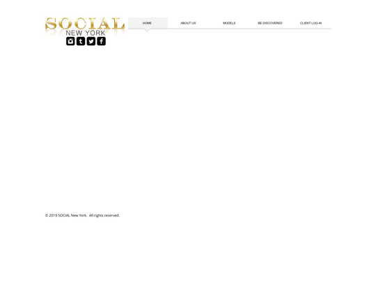 Social New York Logo