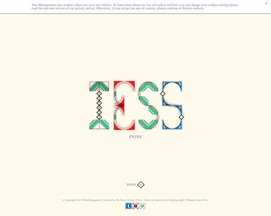 TESS Management Model Agency Logo