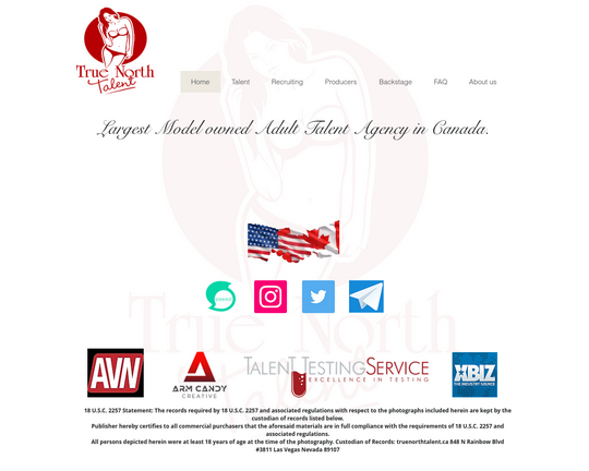 True North Talent Logo