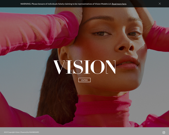 Vision Los Angeles Logo