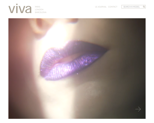 Viva Model Management Logo