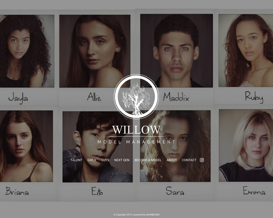 Willow Model Management Logo