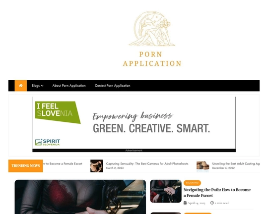 Porn Application Logo