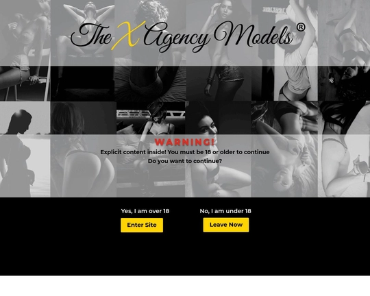 The X Agency Logo
