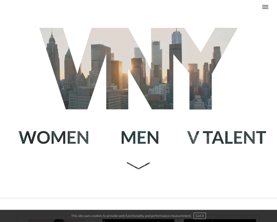 VNY Model Management Logo